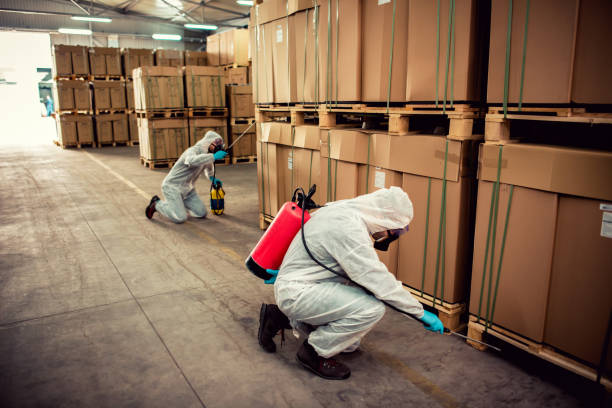 Best Residential Pest Control  in Thompson Falls, MT
