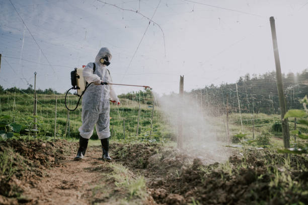 Best Pest Prevention Services  in Thompson Falls, MT