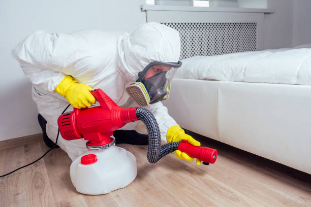 Best Ant Control Services  in Thompson Falls, MT